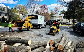 Best Tree Trimming and Pruning  in Malabar, FL